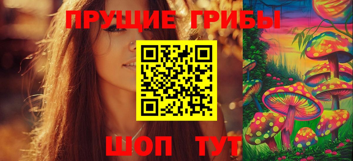 Галлюциногенные грибы ЛСД Сосновый Бор
