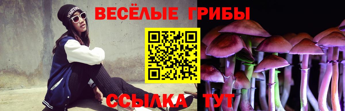 Сосновый Бор  Псилоцибиновые грибы Cubensis  Вход с VPN 
